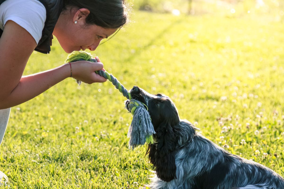 Encourage Good Puppy Manners During Playtime