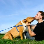 Should I Kiss My Dog? Everything You Need To Know
