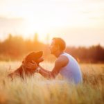 Do Dogs Really Feel More Affection For Their Owners Than For Themselves (Answered)